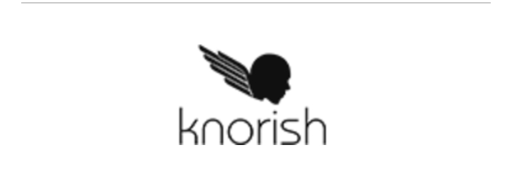 Knorish Review