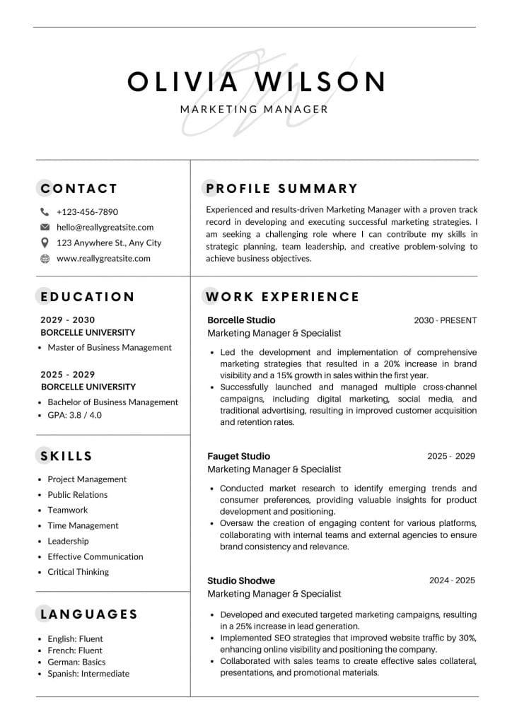 Professional CV